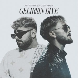 Gelirsin Diye