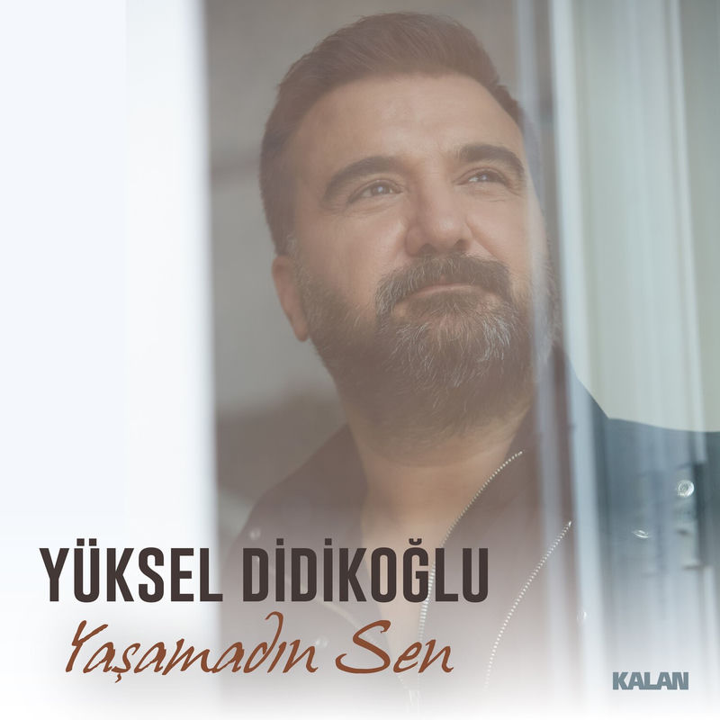 Yaşamadın Sen
