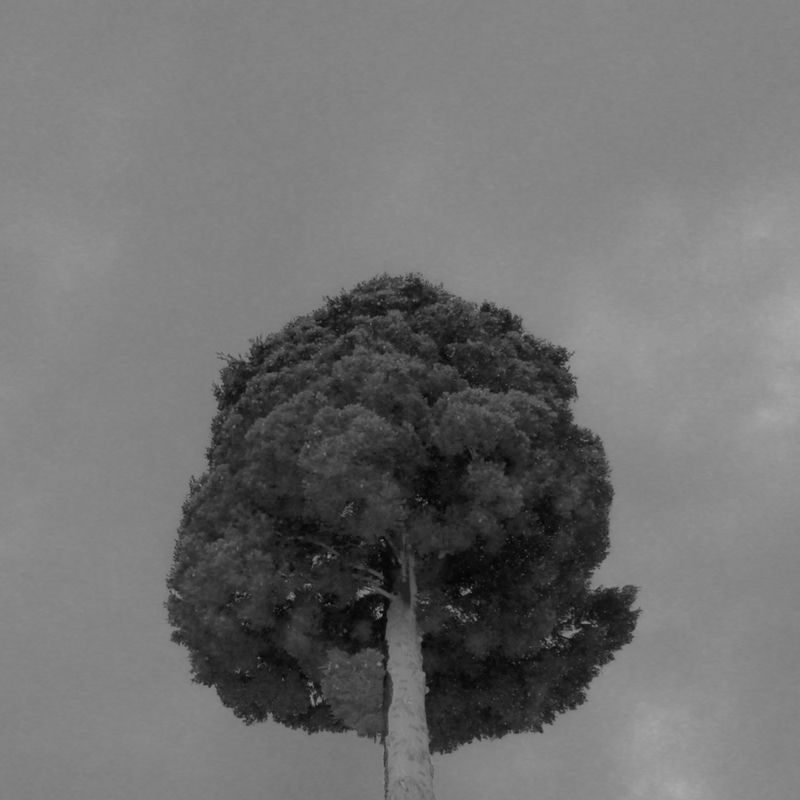 Yalnızlık