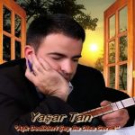 Aşk Dedikleri Şey Bu Olsa Gerek