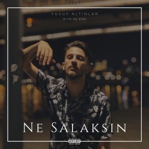 Ne Salaksın