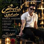 دانلود آهنگ حامد اصغری به نام گل بی عیب و نقص + متن ترانه